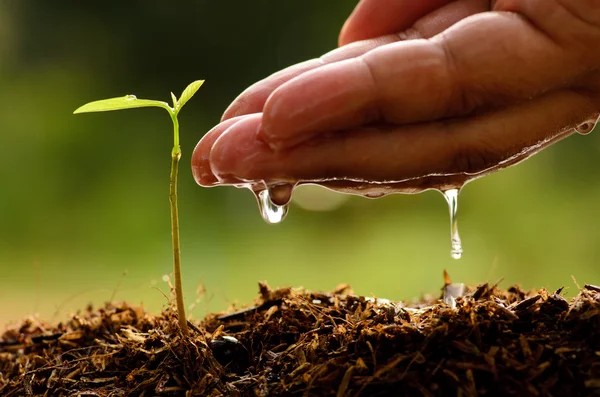 ISO 14001